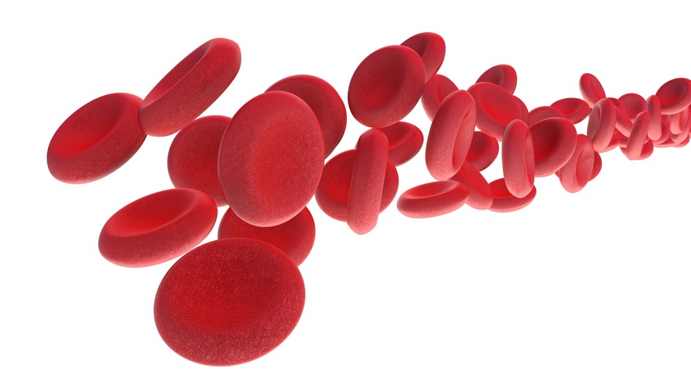 Red blood cells flowing on white background